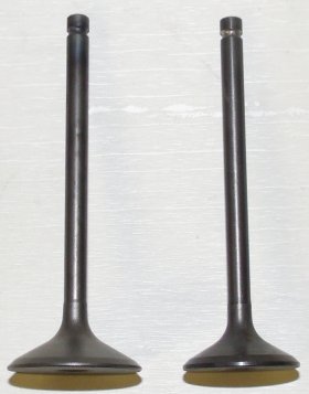 WSM Off Road Valves Engine Valve Kit Kawasaki 220 - 250 Bayou 88-11 - 017-109 WSM Off Road Valves Engine Valve Kit Kawasaki 220 - 250 Bayou 88-11 - 017-109
