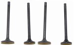 WSM Off Road Valves Engine Valve Kit Kawasaki 250 Mojave 87-04 - 017-110