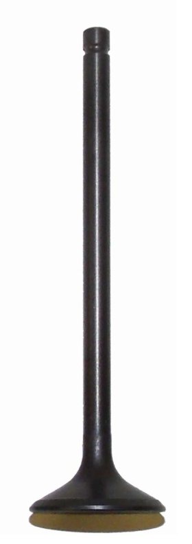 WSM Off Road Valves Exhaust Valve Kawasaki 400 Bayou / Prairie 4x4 93-02 - 017-113-02 WSM Off Road Valves Exhaust Valve Kawasaki 400 Bayou / Prairie 4x4 93-02 - 017-113-02