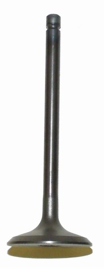 WSM Off Road Valves Intake Valve Yamaha 200 - 250 83-09 - 017-301-01