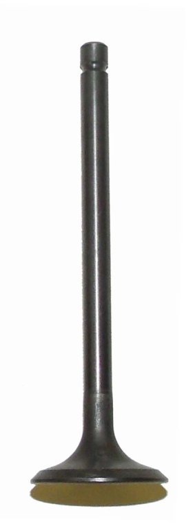 WSM Off Road Valves Exhaust Valve Yamaha 200 - 250 83-09 - 017-301-02 WSM Off Road Valves Exhaust Valve Yamaha 200 - 250 83-09 - 017-301-02