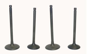 WSM Off Road Valves Engine Valve Kit Yamaha 700 07-25 - 017-314 WSM Off Road Valves Engine Valve Kit Yamaha 700 07-25 - 017-314