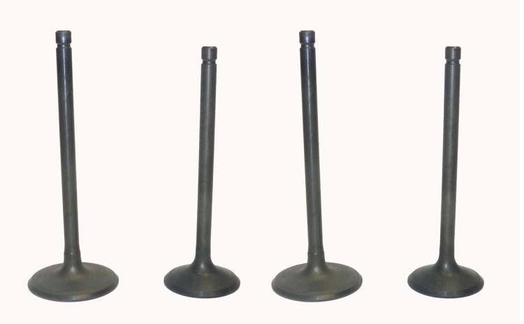 WSM Off Road Valves Engine Valve Kit Yamaha 700 07-25 - 017-314