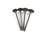 WSM Off Road Valves Engine Valve Kit Polaris 700 / 800 05-16 - 017-404