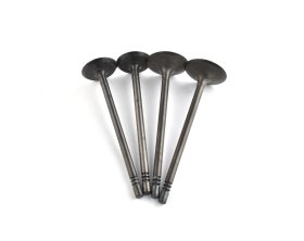WSM Off Road Valves Engine Valve Kit Polaris 700 / 800 05-16 - 017-404 WSM Off Road Valves Engine Valve Kit Polaris 700 / 800 05-16 - 017-404