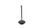 WSM Off Road Valves Intake Valve Can Am 450 - 1000 13-25 - 017-474-01