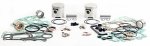 WSM MAR Engine Rebuild Kits Powerhead Rebuild Kit Mercury / Mariner 15 - 25 Hp 2 Cyl Mercosil 94-06 Standard - 100-04-10