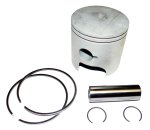 WSM MAR Piston Kits Piston Kit Mariner / Yamaha 40 Hp 2 Cylinder 86-97 Standard - 100-263K