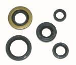 WSM Off Road Oil Seals Crankshaft Seal Kit Honda 400 TRX-EX 99-04 - 21-100