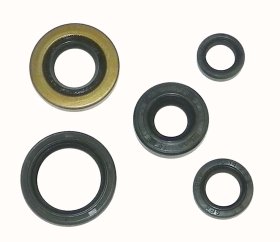WSM Off Road Oil Seals Crankshaft Seal Kit Honda 400 TRX-EX 99-04 - 21-100 WSM Off Road Oil Seals Crankshaft Seal Kit Honda 400 TRX-EX 99-04 - 21-100
