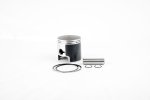 WSM Off Road ATV Piston Kits Piston Kit Polaris 250 86-06 Standard Platinum - 50-300PK