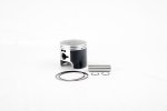 WSM Off Road ATV Piston Kits Piston Kit Polaris 300 94-00 Standard Platinum - 50-310PK