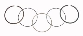 WSM Off Road Piston Rings Piston Rings Honda 400 TRX-EX 99-14 Standard - 51-228 WSM Off Road Piston Rings Piston Rings Honda 400 TRX-EX 99-14 Standard - 51-228