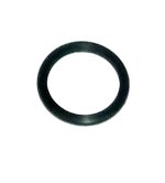 WSM MAR Gaskets & Orings O-Ring Thermostat Johnson / Evinrude 200 - 300 Hp E-Tec / FICHT 99-14 - 525-15