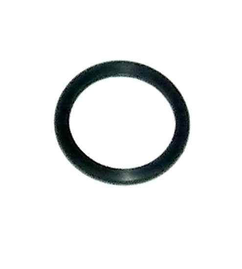 WSM MAR Gaskets & Orings O-Ring Thermostat Johnson / Evinrude 200 - 300 Hp E-Tec / FICHT 99-14 - 525-15