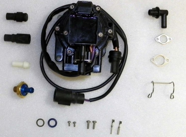 WSM MAR Electronic Fuel Pumps Fuel Pump Johnson / Evinrude 35 - 60 Hp Looper VRO - 600-151