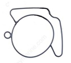 WSM MAR Carb Kits Gasket Float Johnson / Evinrude 130 - 250 Hp 94-01 - 600-31-03 WSM MAR Carb Kits Gasket Float Johnson / Evinrude 130 - 250 Hp 94-01 - 600-31-03