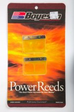 WSM Off Road Boyesean Products Reeds Power Kawasaki 125 KX 01-02 - 6100
