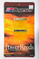 WSM Off Road Boyesean Products Reeds Power KTM 125 / 200 - 6101