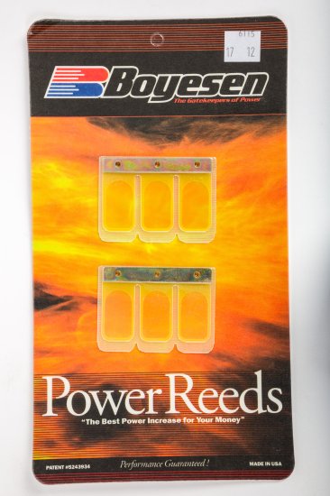 WSM Off Road Boyesean Products Reeds Power Kawasaki 125 KX 2003 - 6115
