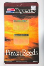 WSM Off Road Boyesean Products Reeds Power Kawasaki 125 KX 04-05 - 6120