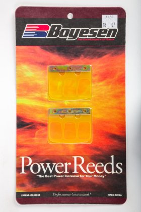 WSM Off Road Boyesean Products Reeds Power Yamaha 125 YZ 05-22 - 6130