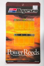 WSM Off Road Boyesean Products Reeds Power KTM 350 / 500 11-19 - 618