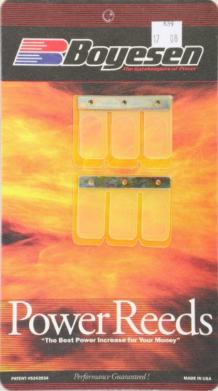 WSM Off Road Boyesean Products Reeds Power Kawasaki 125 / 250 KX / KDX 89-94 - 639