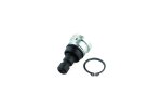 WSM Ball Joints Ball Joint Upper & Lower Polaris 30 / 300 - 1100 08-21 - 68-265