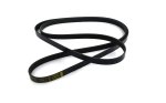 WSM MAR Belts & Components Belt Serpentine Mercruiser V6 - V8 - 830-310