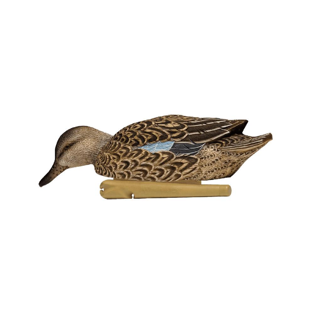 Avian X Top Flight Blue Wing Teal - AVX-AVX8080