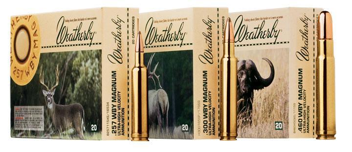 .300 Wby 165Gr Nosler Balistctip - N300165BST