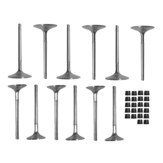Riva VALVE SET , 250/260/15F , HI PER. - RK19085-HPV-0