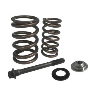 Riva UPGRADE KIT , VALVE TRAIN , 4TEC - RS19050-VTU
