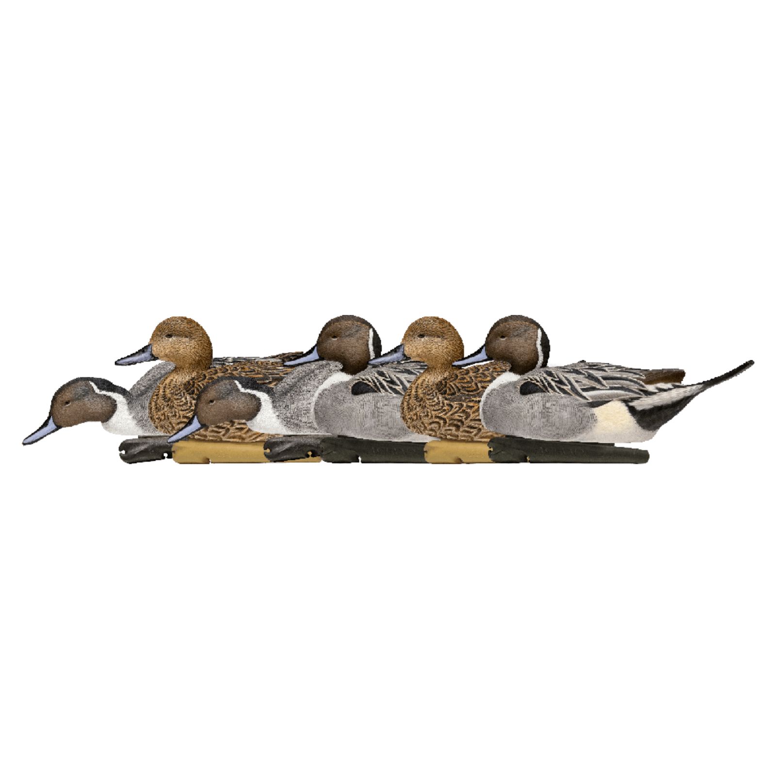 Avian-X Topflight Decoys Pintails