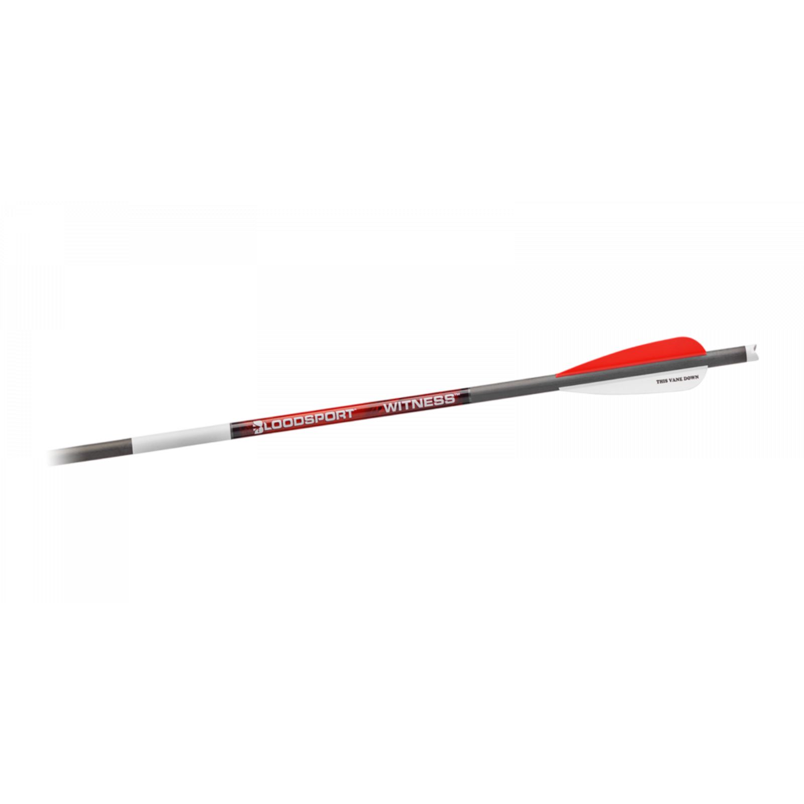Bloodsport Witness 20 in Crossbow Bolt Bloodsport Witness 20 in Crossbow Bolt
